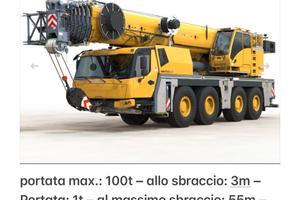 Gru piattaforma vaglio frantoio muletto terna