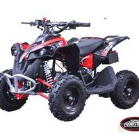 LEM MOTOR Quad Ares 49cc