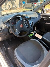 Fiat Punto  del  2013