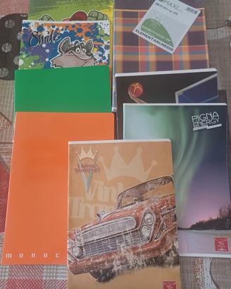 Set 12 quaderni grandi NUOVI