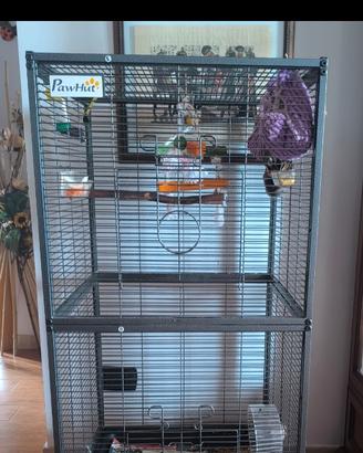 Petauro dello zucchero