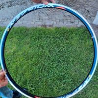 Cerchio mavic