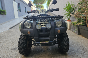 Quad adly 300 tatanka del 2010