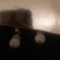 Orecchìni pendenti con perline Ungari