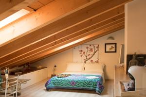 Stanza Mansardata con bagno privato in Villa