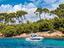 Immagine 16