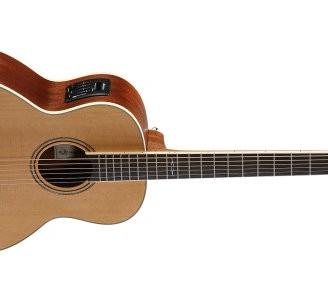 Chitarra acustica -alvarez lj2e