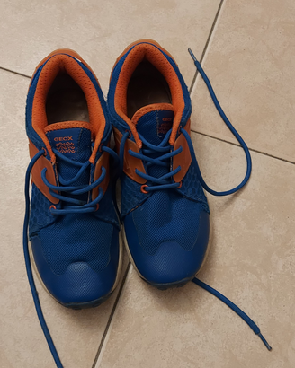 Scarpe Geox n. 37