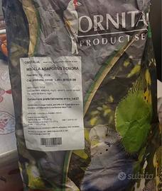 Agapornis bonora e wimo parrot