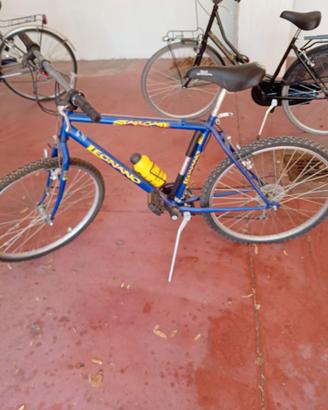 biciclette e accessori svuota garage