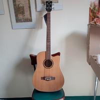 Basso Acustico - EKO G03