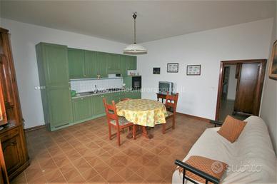 AP496 - Bettolle appartamento 52 mq con in