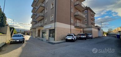 Attività Commerciale L'Aquila [GRO558VCG]