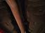 Immagine 24