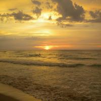 Badante -Assistente al Anziano "Diurno""Ore"