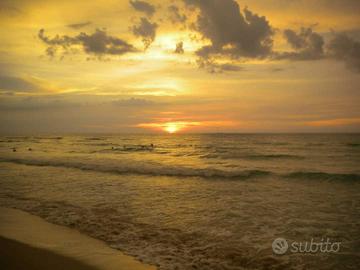 Badante -Assistente al Anziano "Diurno""Ore"