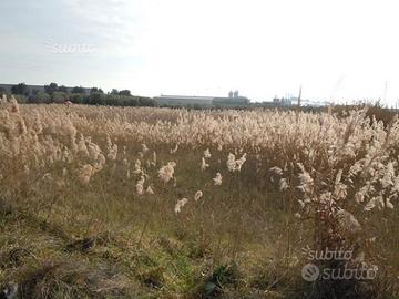 Suolo industriale vicinanze porto mercantile