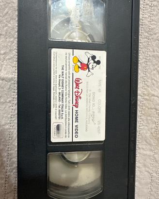 Collezione Disney
