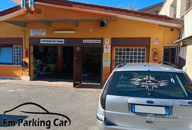 Fm Parking Car