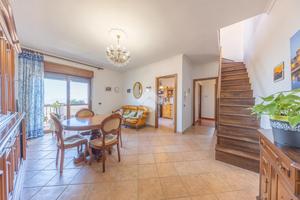 5 LOCALI A MONTE PORZIO CATONE