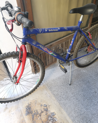 Bicicletta usata