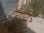 Immagine 6