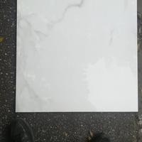 Pavimento marmo carrara 60x60 lucido