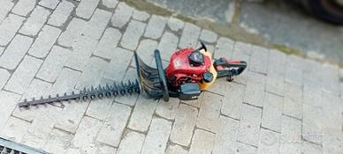 tagliasiepi sandri garden