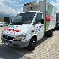 Mercedes Sprinter / isotermico con frigo