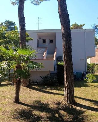 Pineta - Bilocale dal 16.08 al 23.08