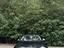 Immagine 11