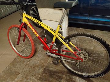 Bicicletta Mountain Bike