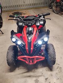 mini quad elettrico 48v