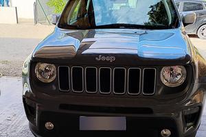 gip renegade 