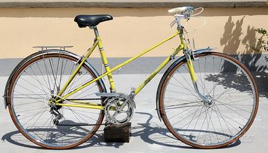 bicicletta sportiva 