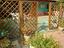 Immagine 6
