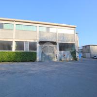 CAPANNONE A TOLLEGNO