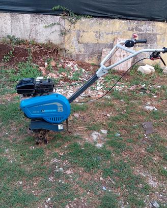 Motozappa Bertolini 