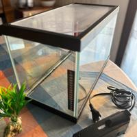 Acquario vetro 20l
