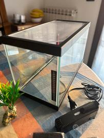 Acquario vetro 20l
