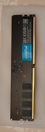RAM DDR5 Crucial - 64 GB 5600 Mt/s