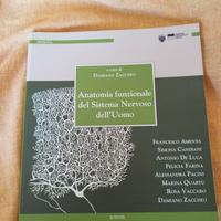 Anatomia funzionale del sistema nervoso dell'uomo 
