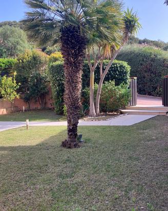 Chia. Casa sul mare