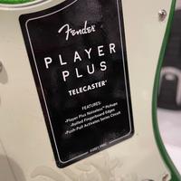 Fender Player Plus Telecaster (Green)