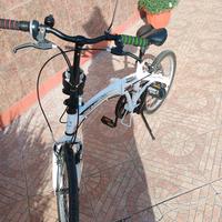 bici pieghevole 20 pollici 