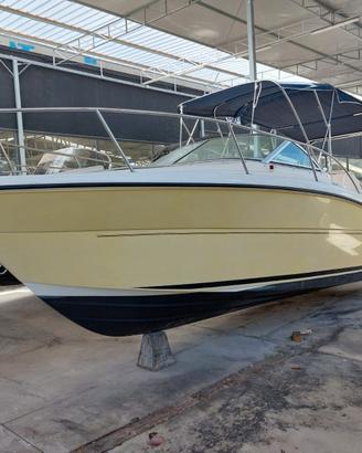 Ripropongo Barca WALKAROUND cabinato-Diesel