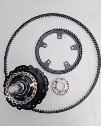 Kit cinghia per bicicletta fat tires