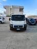 fiat-ducato-prov-toscana-eccellenti-condizioni