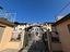Immagine 15