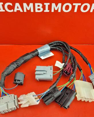 CABLAGGIO X ACCESSORI BMW C1 125 200